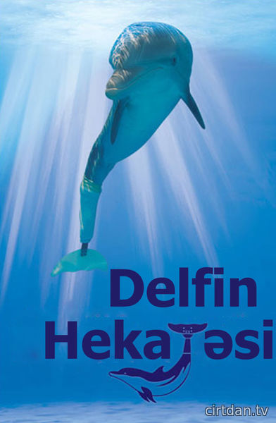 Delfin Hekayəsi