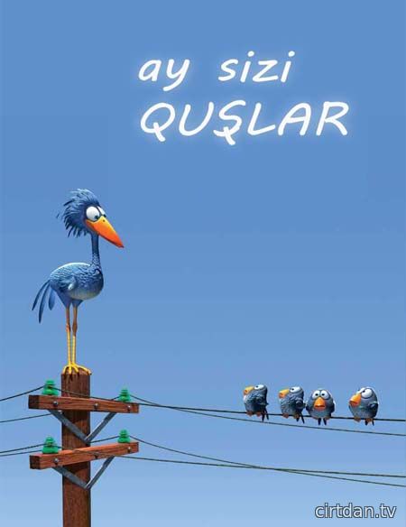 Ay sizi quşlar / For The Birds